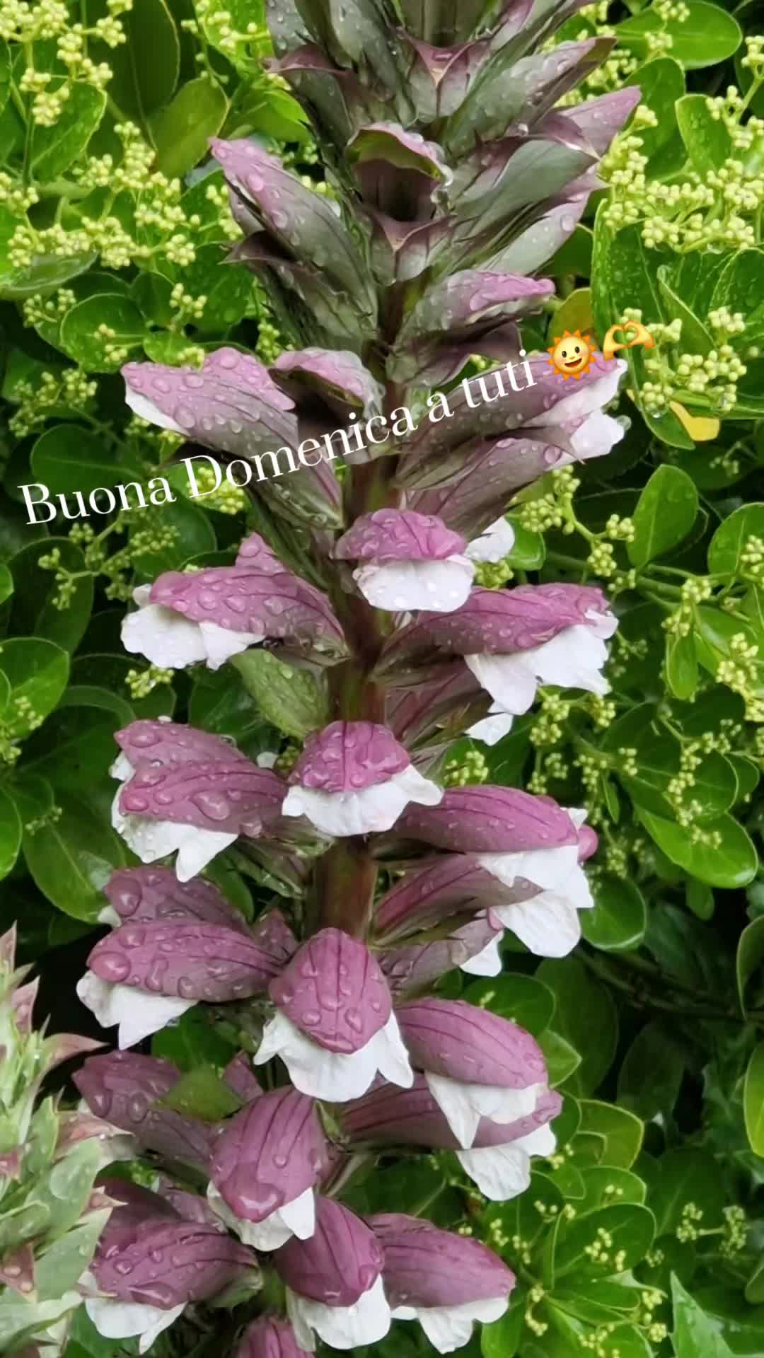 @Nina Nina🇬🇪🫶🫶🇮🇹