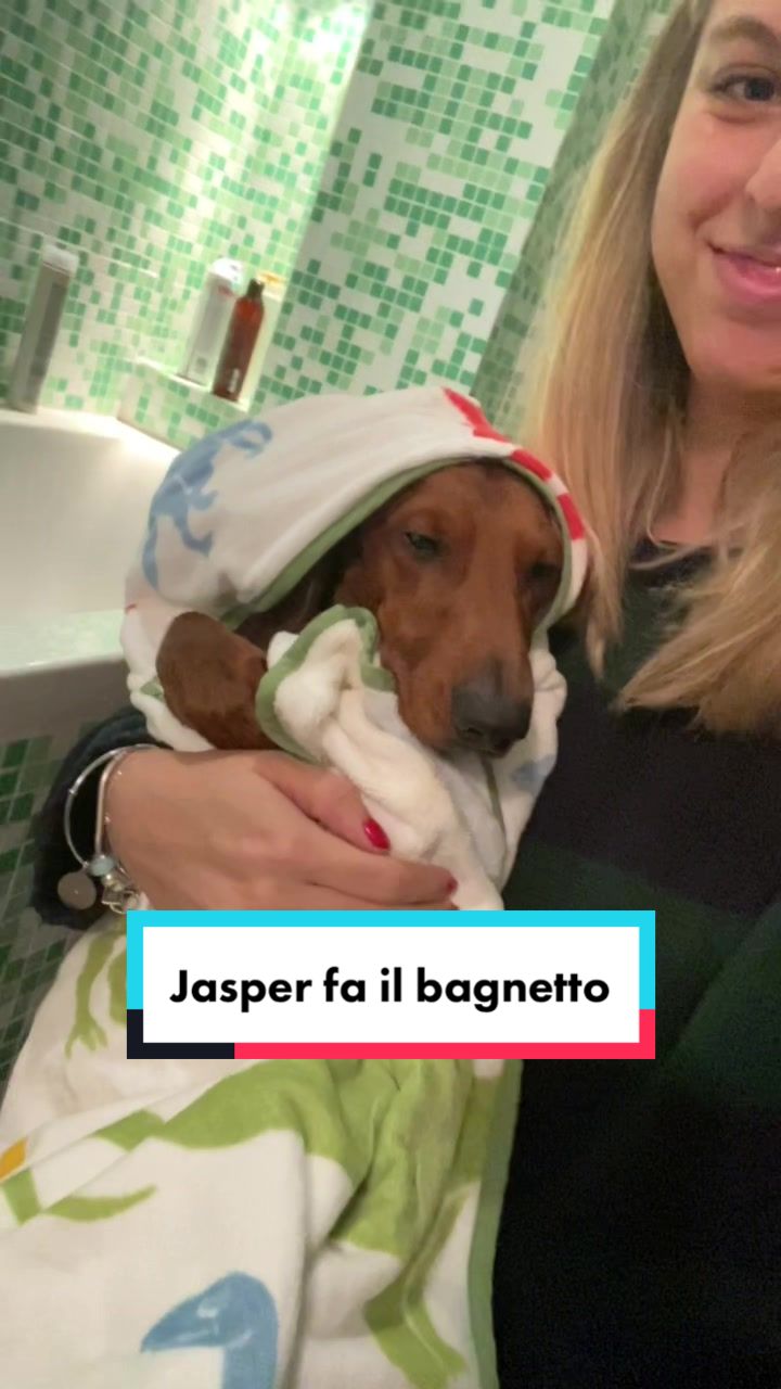 @Il bassotto ๐ฎ๐น๐บ๐ธ | Jasper