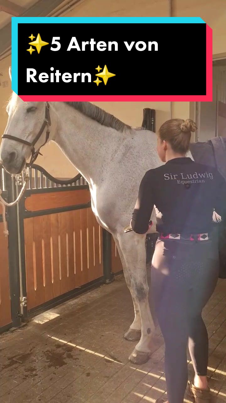 @Sir Ludwig Equestrian