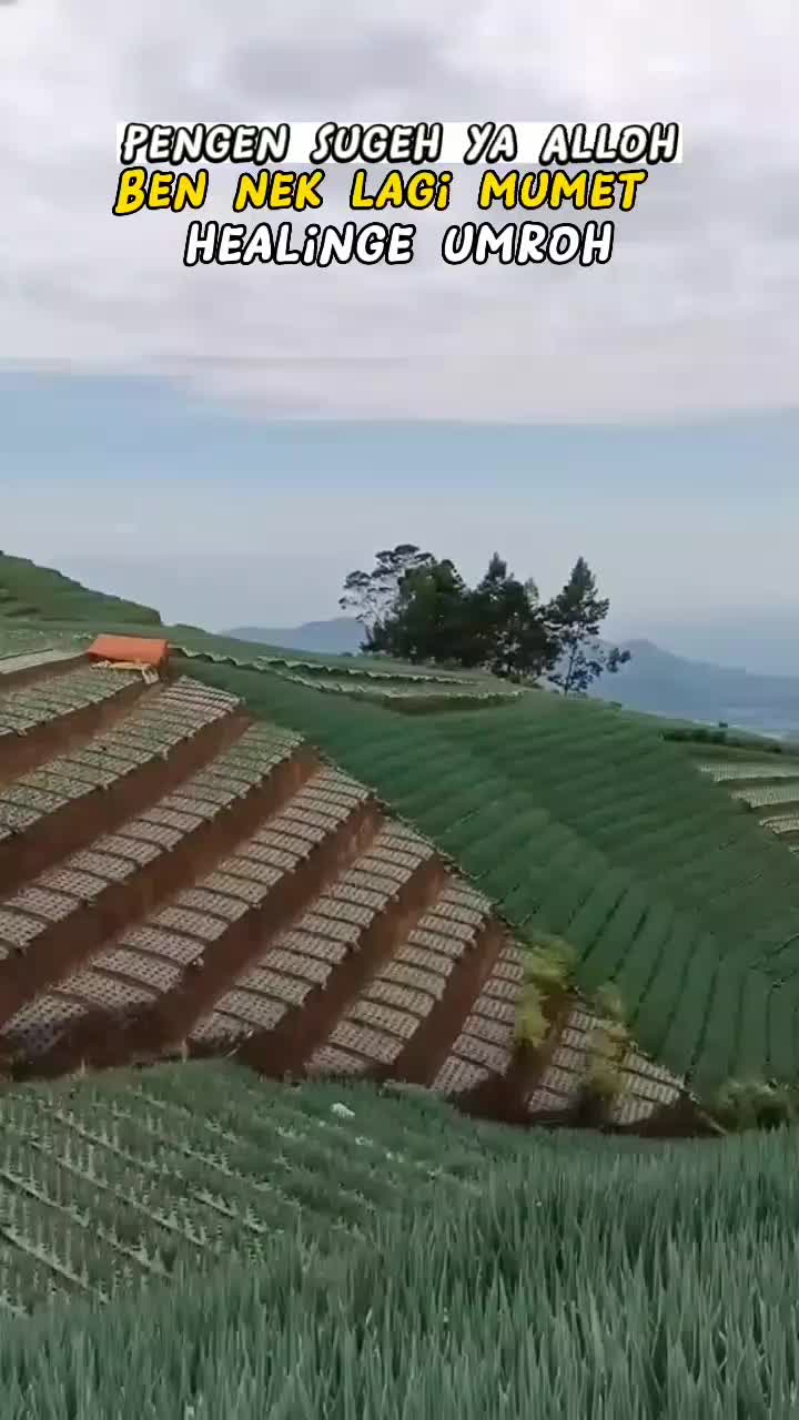 @๐ชโ๐ฑโ๐ชโ๐ฐโ๐ฎ๐ค๐ฝ๐๐ฃ๐๐