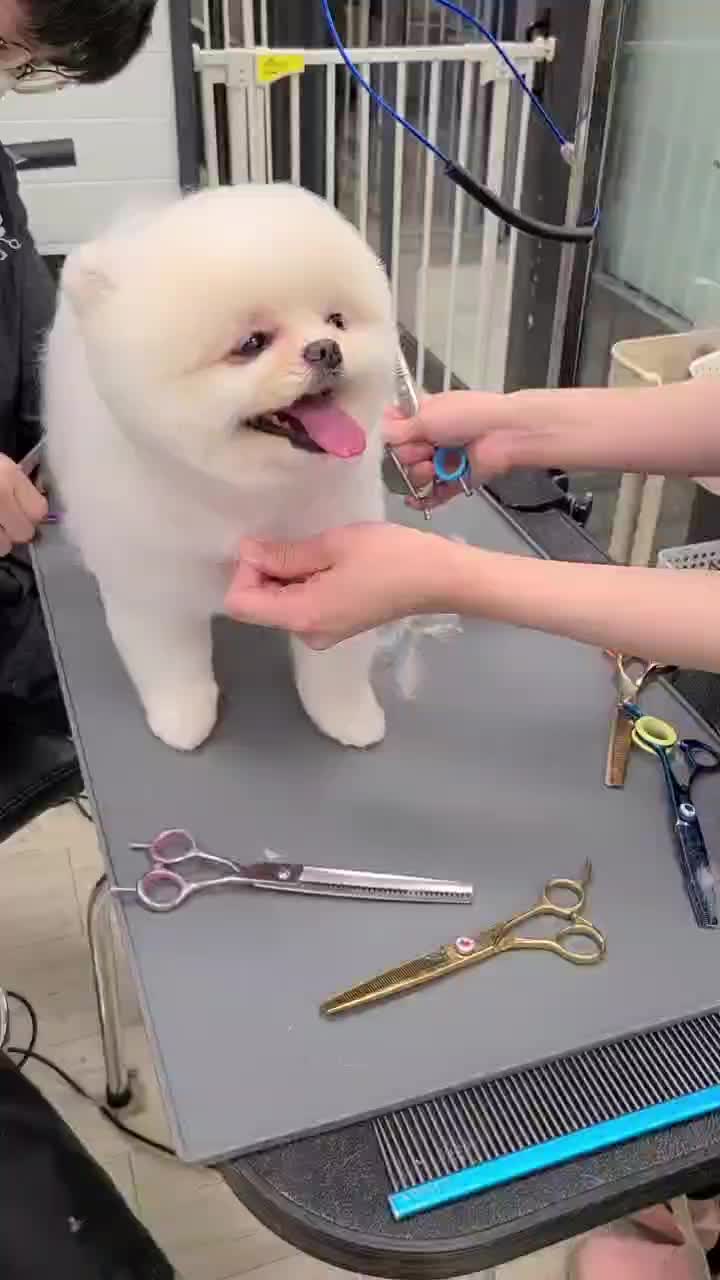 @kkangchu