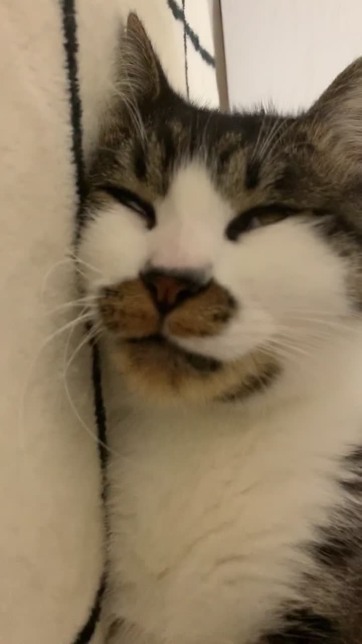 @°ส๐ฉตษ°