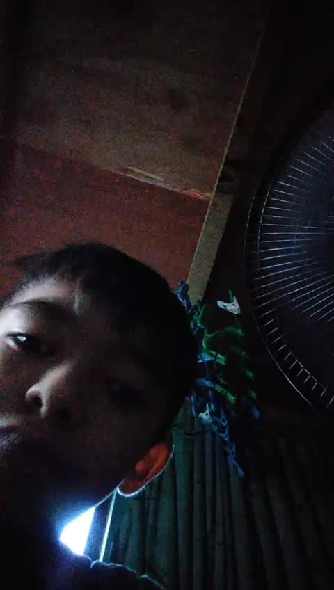 @alexander x