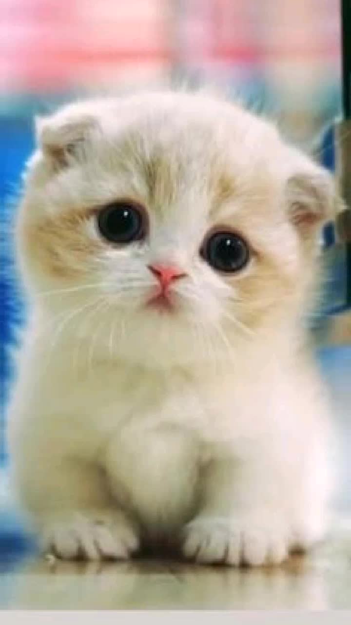 @park_chimmy