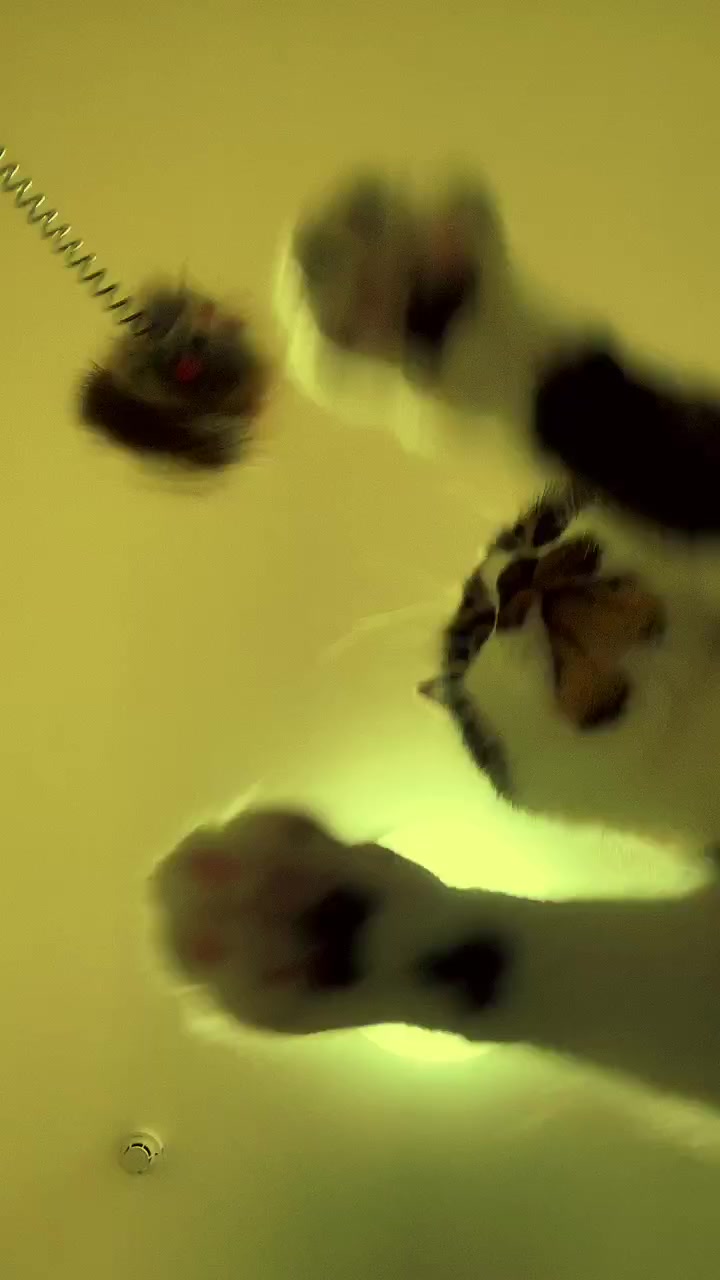 @°ส๐ฉตษ°