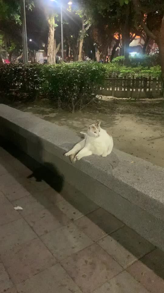 @蘇熙