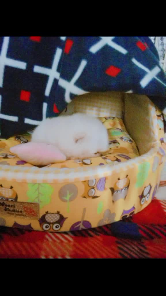 @★♦경록♦★