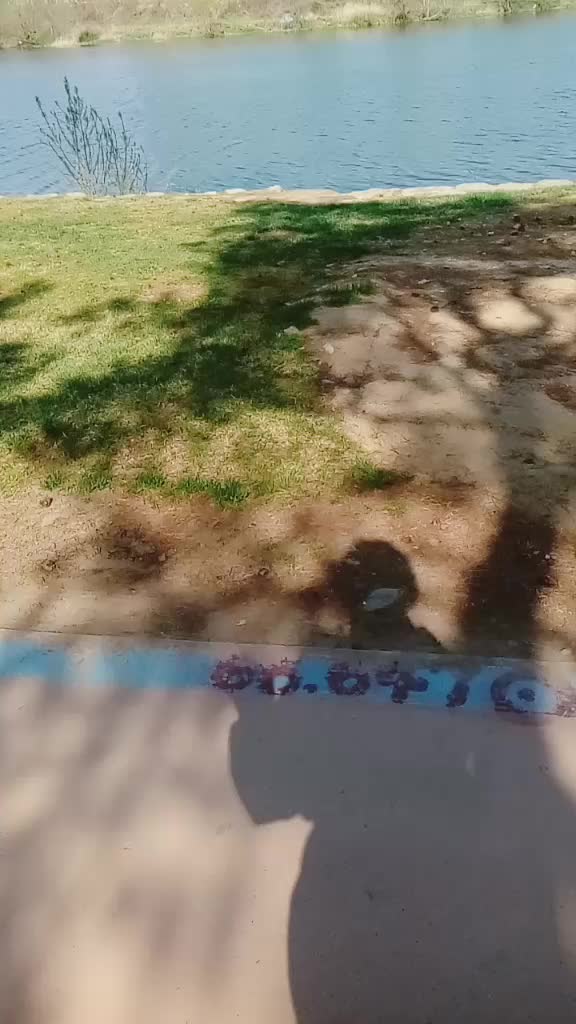@또바기