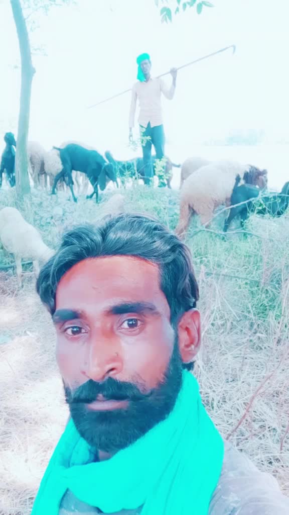 @Satnam Gill