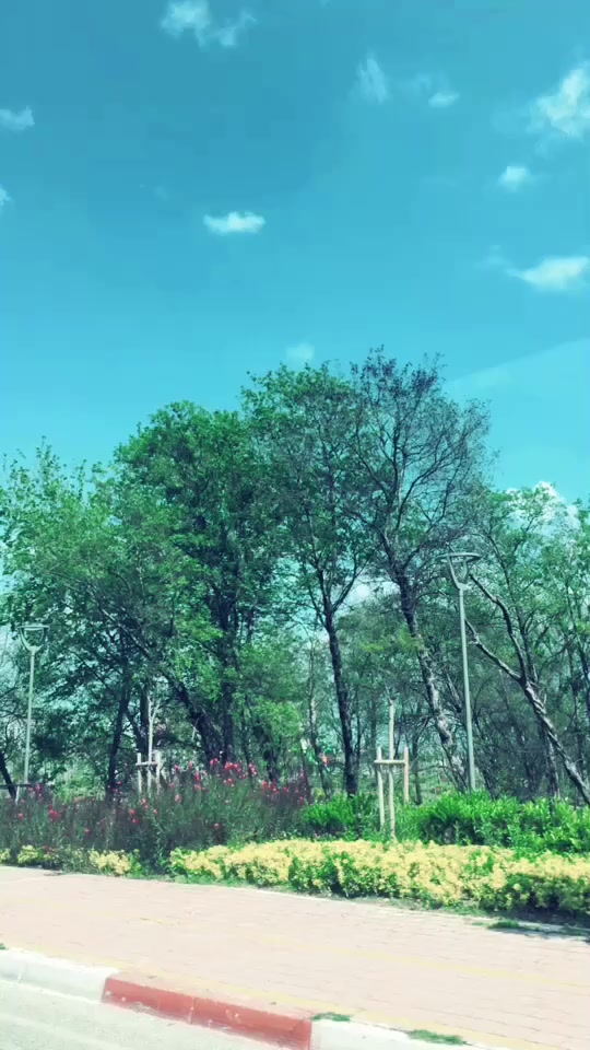 @Dilara Çiftci