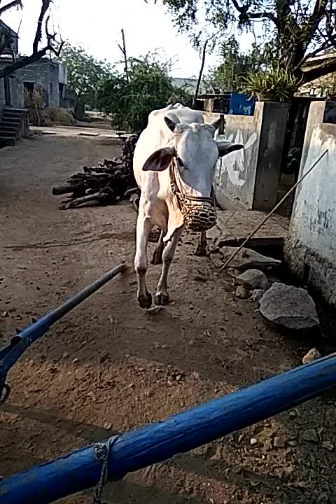 @Natul Sk