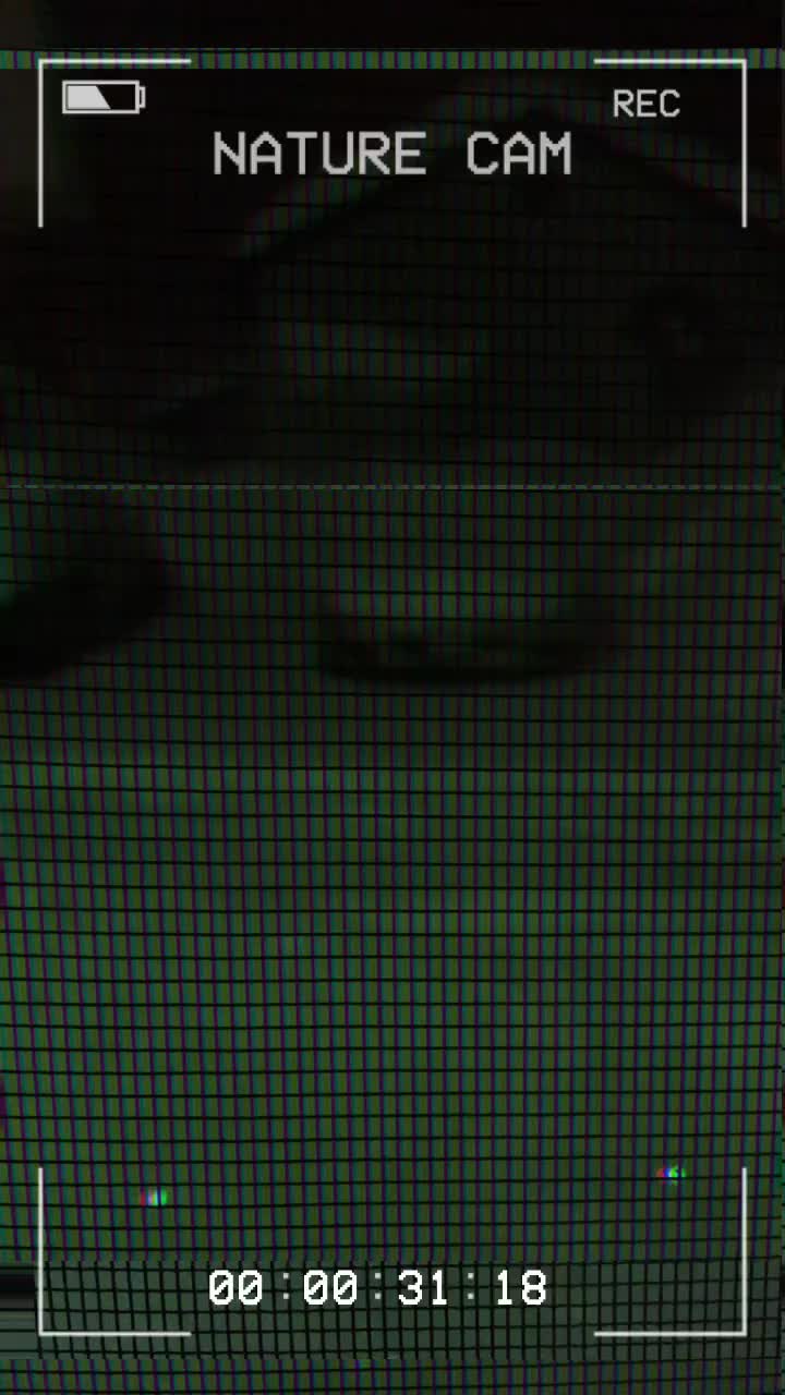@CarterCodes