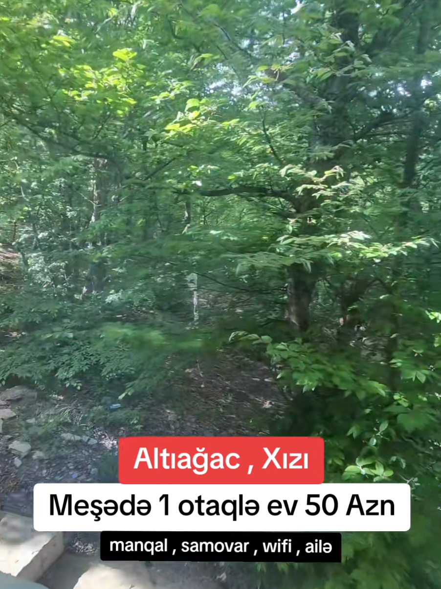 @leqalinfo