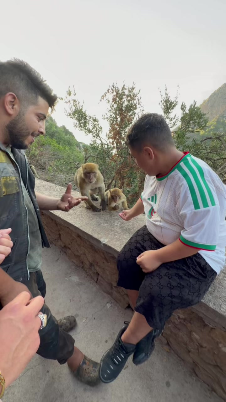 @hmida العمدة 🦡