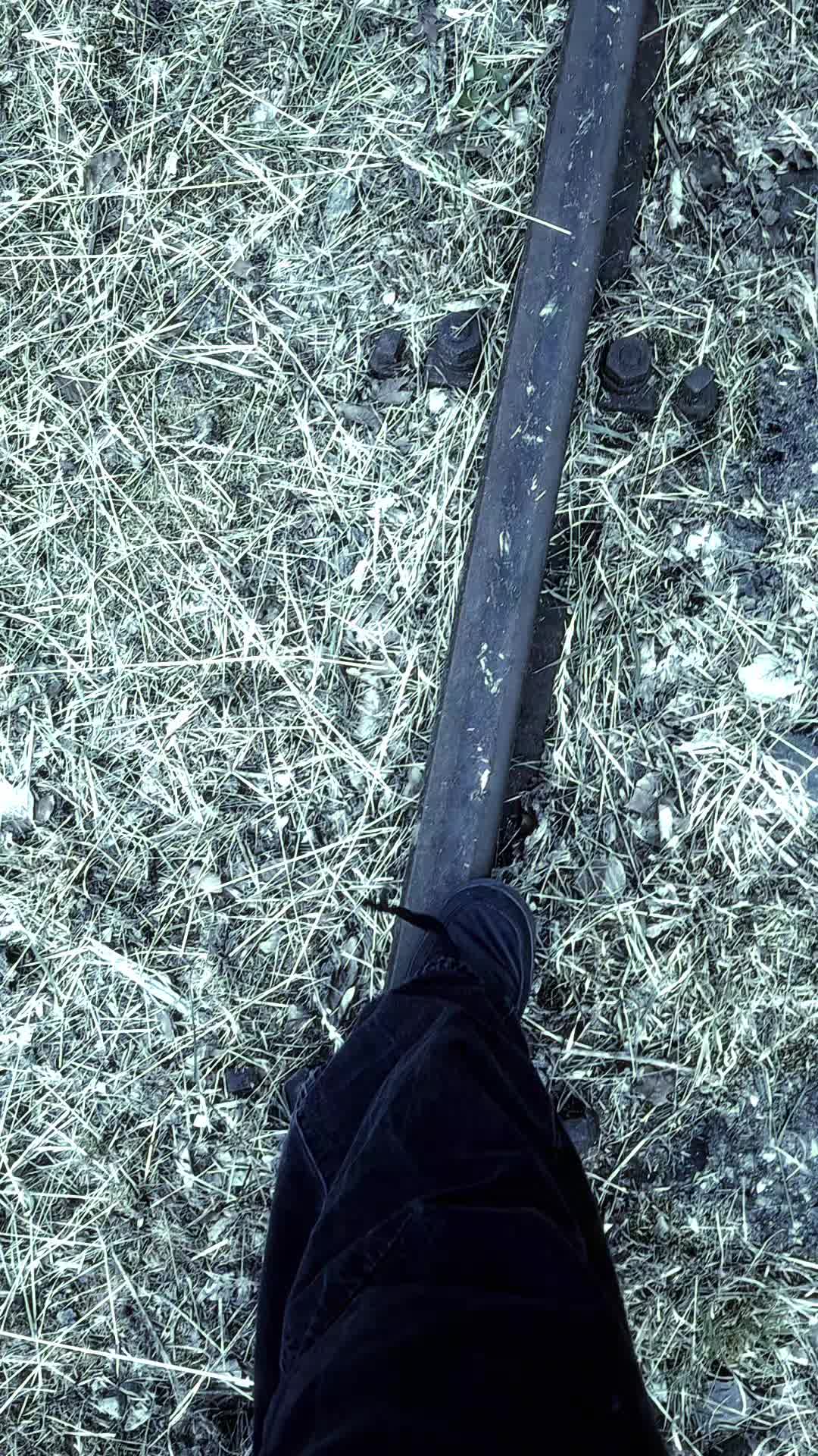 @☾⋆𝙻𝚞𝚌𝚒𝚏⋆☽