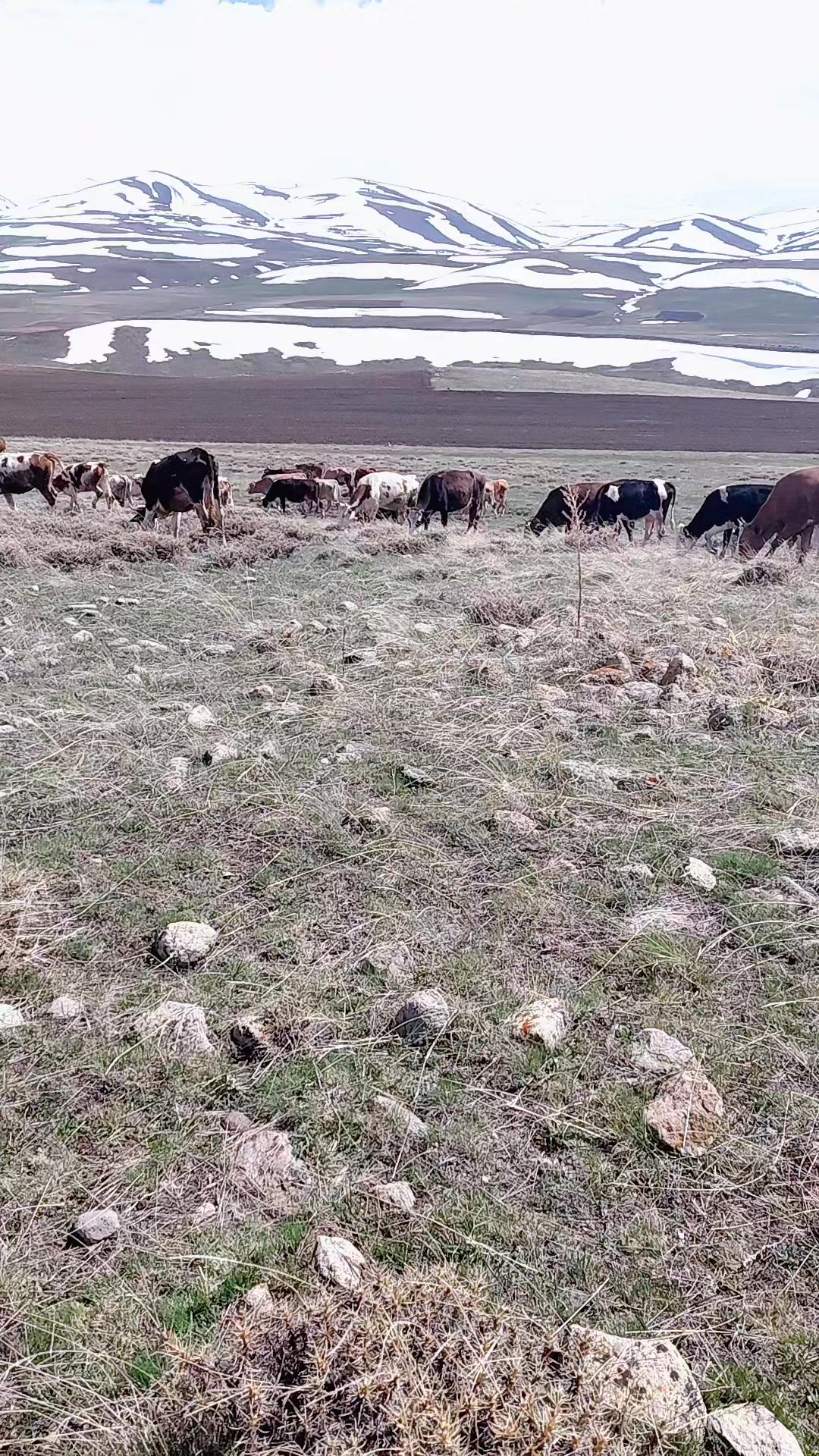 @Menderes G&uuml;ll&uuml;