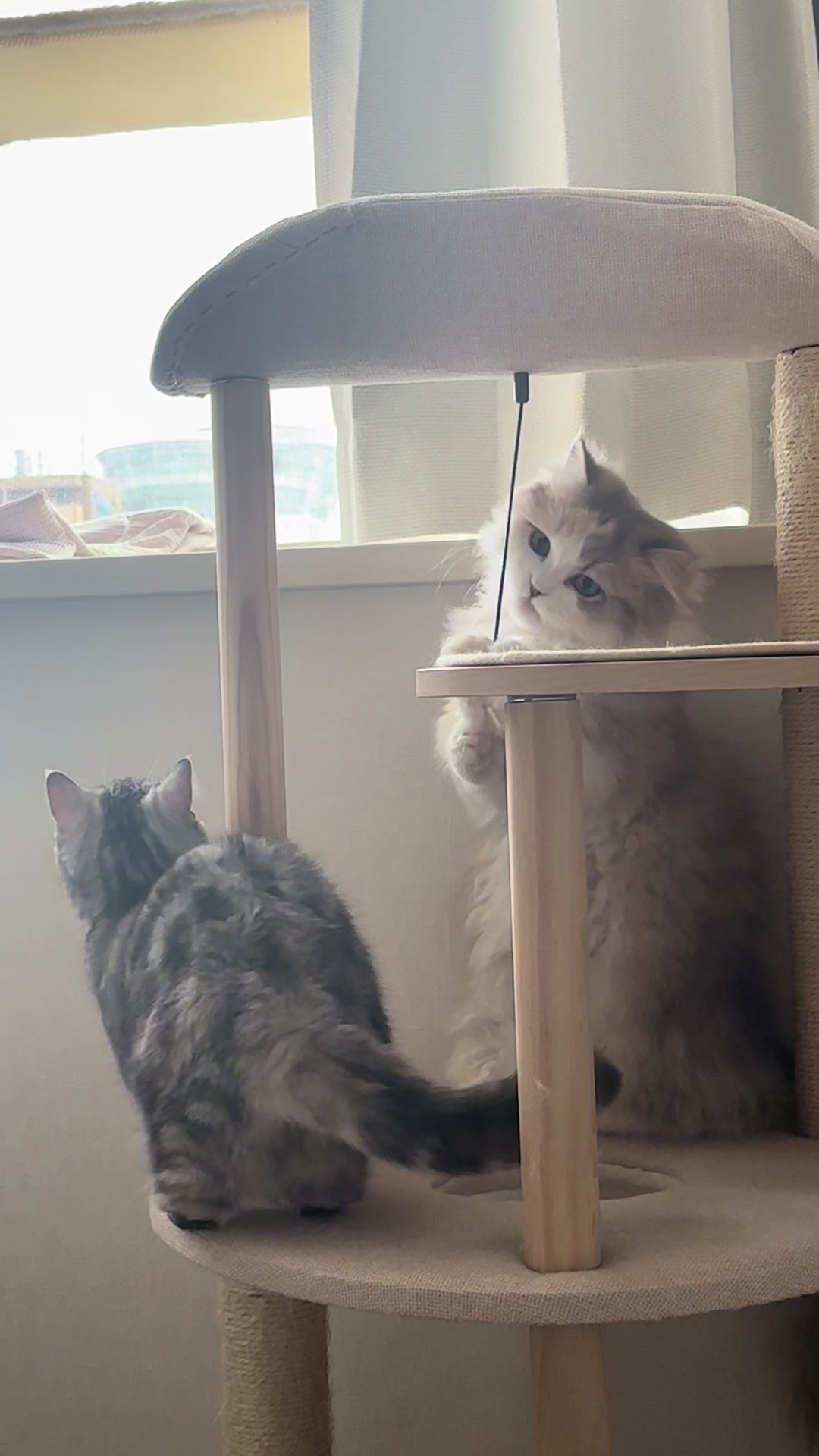 @ややとゆゆ