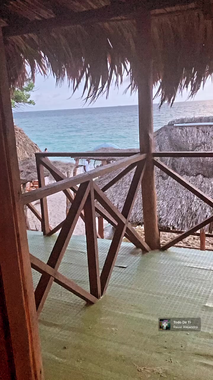 @Dalí Sosa 🦋