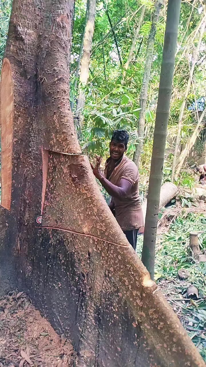 @যশোরের পোলা