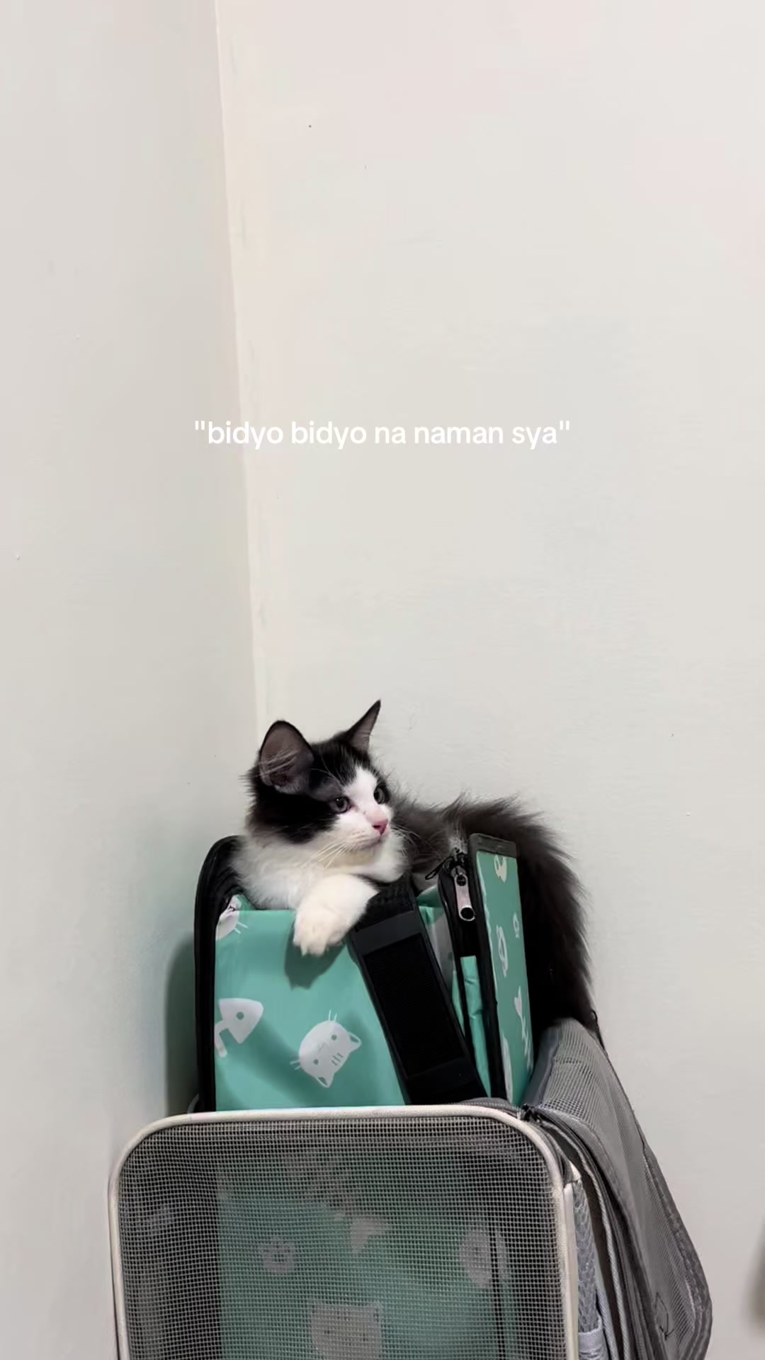 @ᰔᩚ