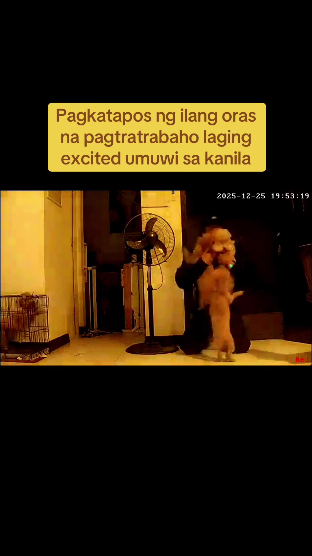 @joamarjohn