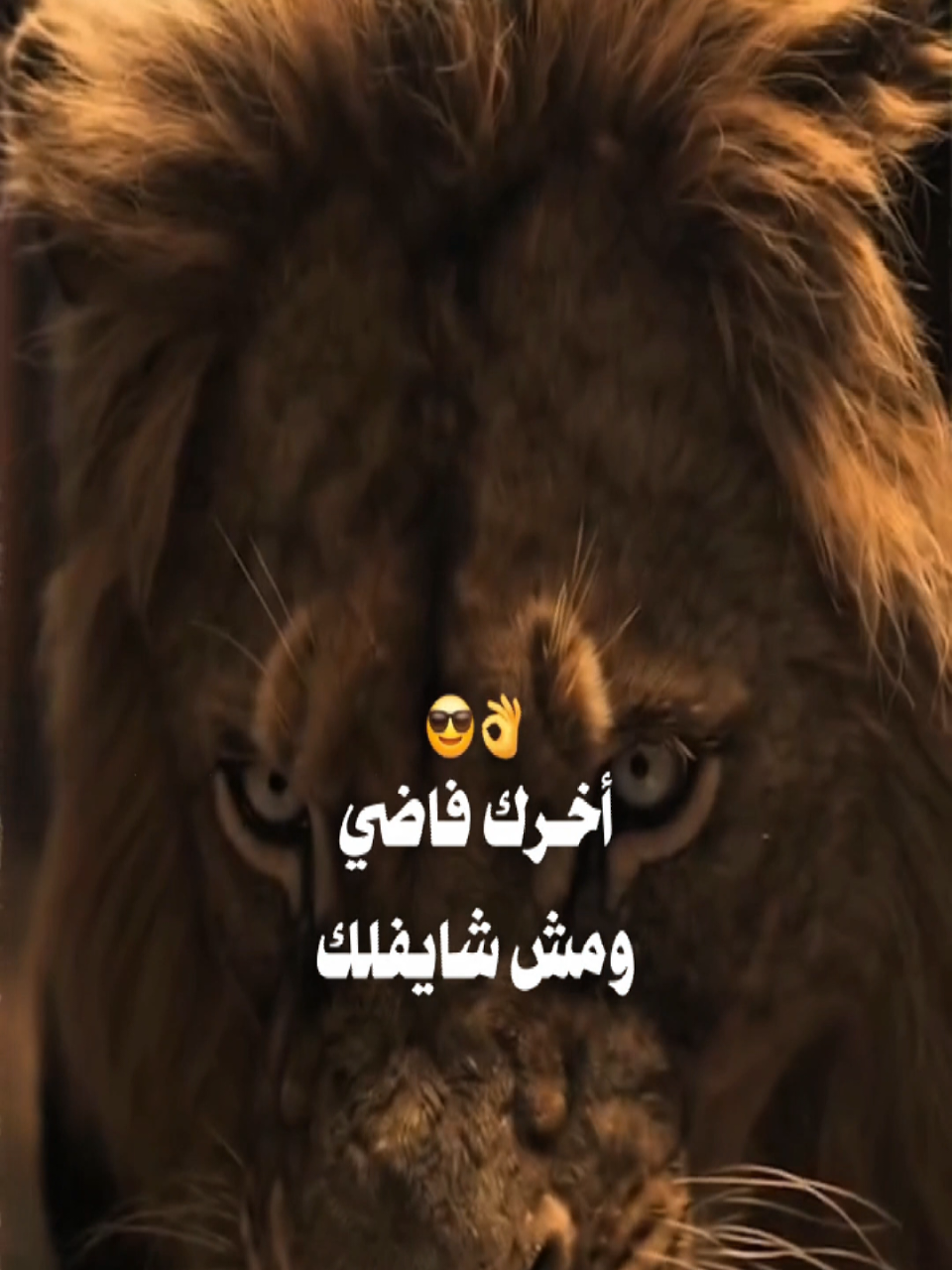 @࿐اسـ🔝ــلام الـسـوه̷̸̐ــاجي ♈
