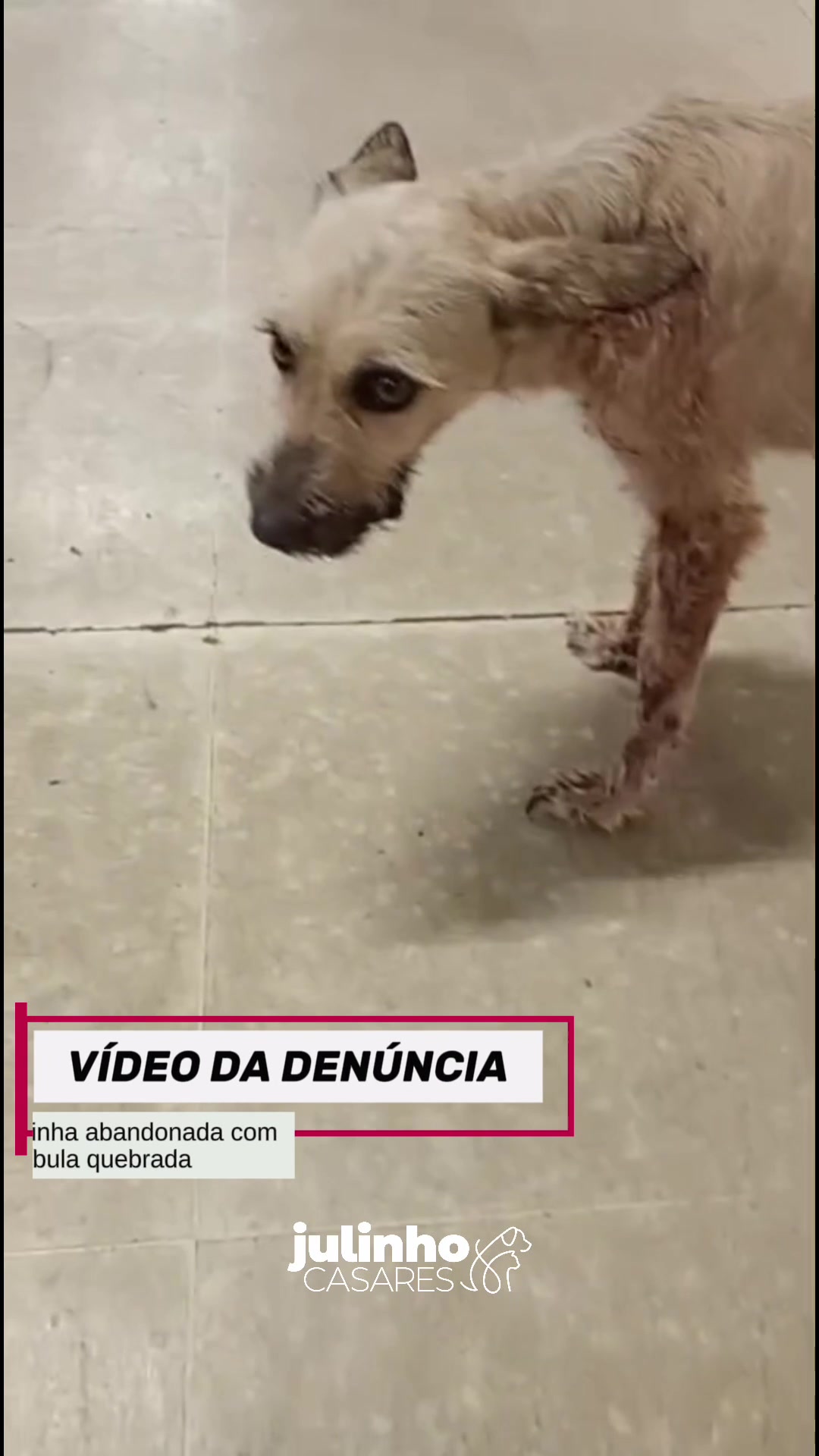 @julinhocasares