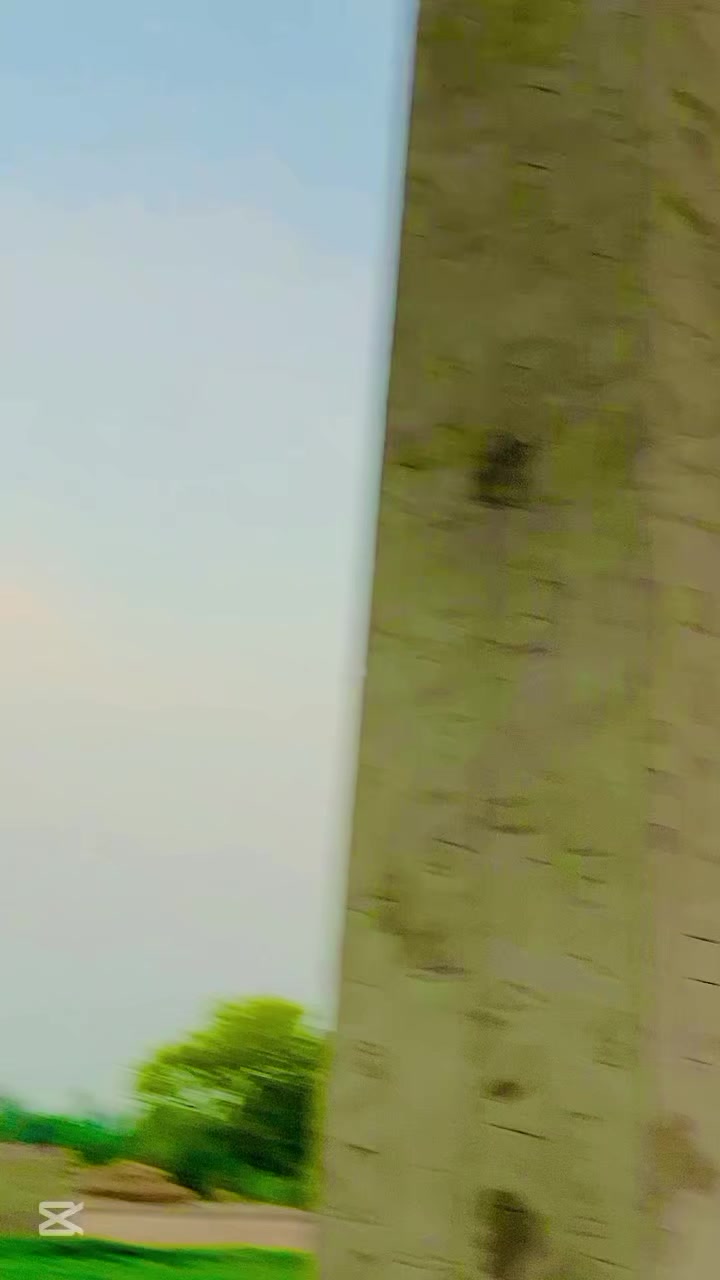 @༄SH᭄✿sʜᴇᴅᴜ ᴍᴀʟɪᴋ࿐