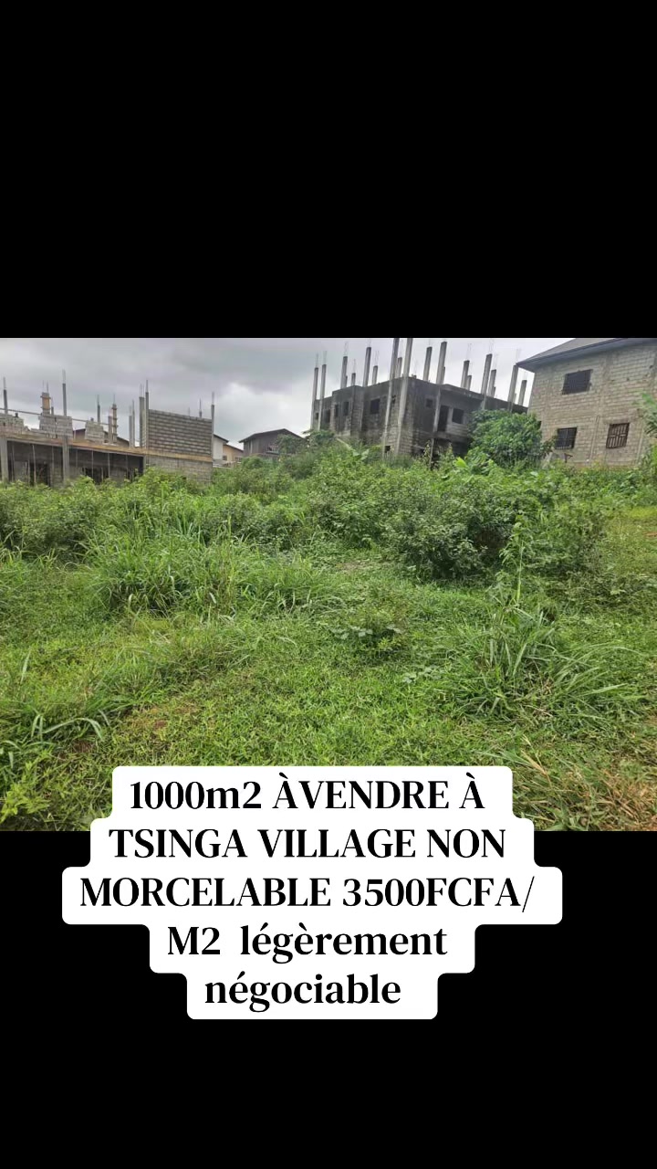@DINO~IMMO~237🇨🇲🇨🇲