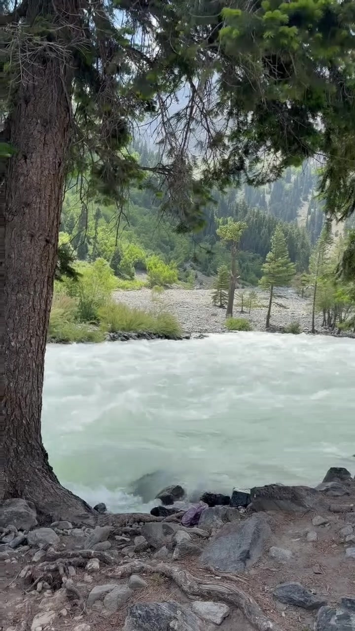 @Yahya Hayat