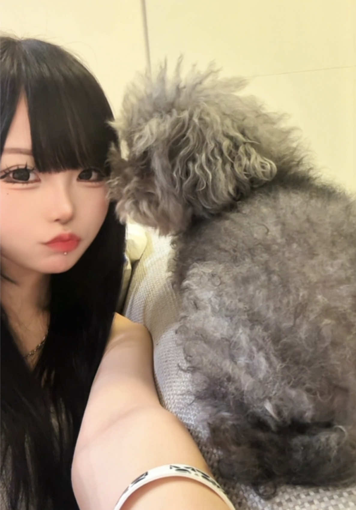 @にゃんぱすー。