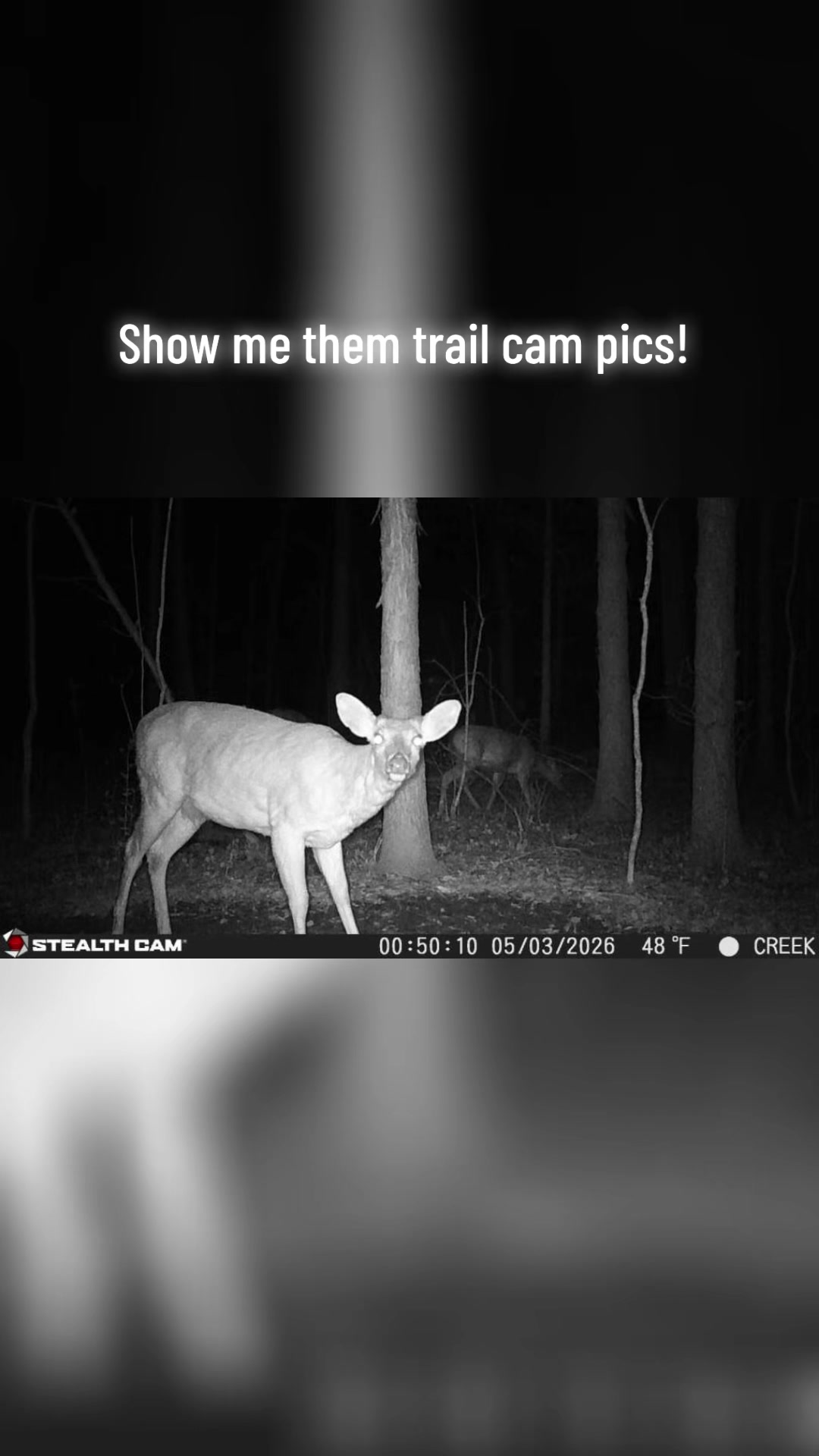 @Heavy Tines Outdoors