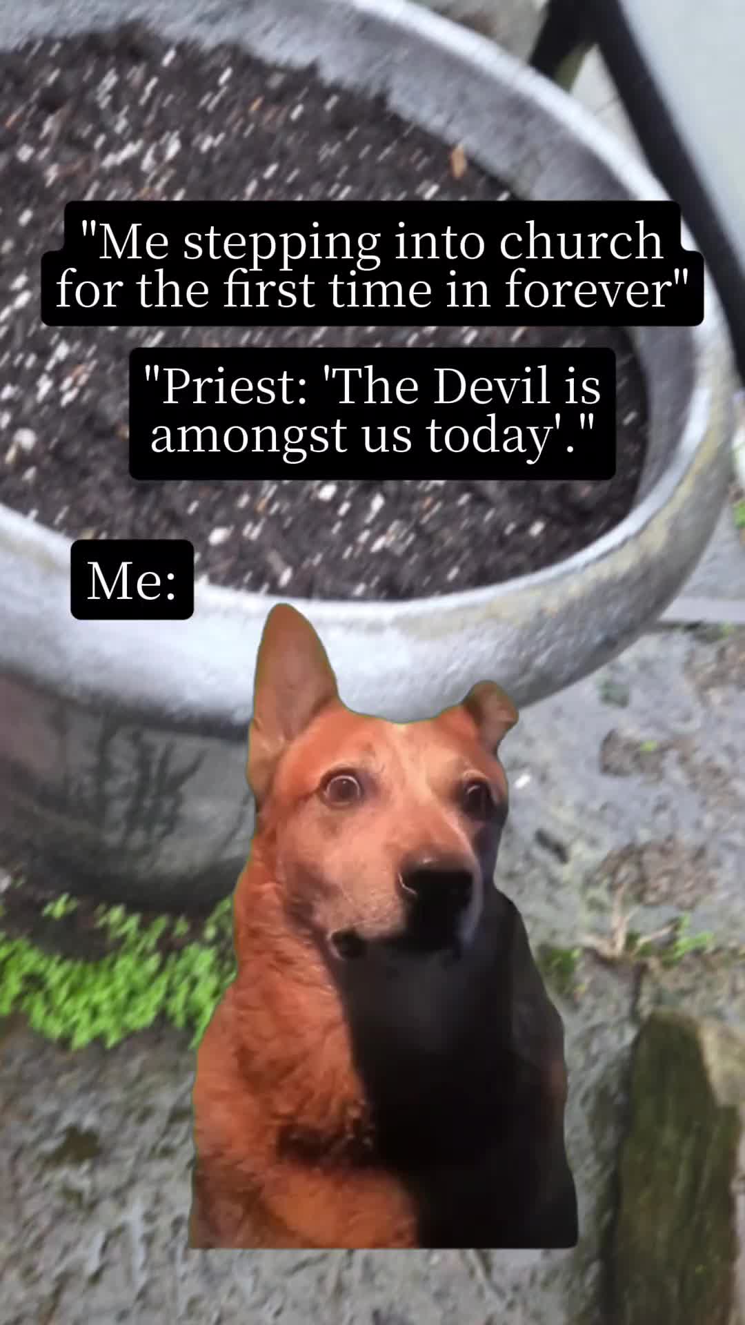 @DeeH