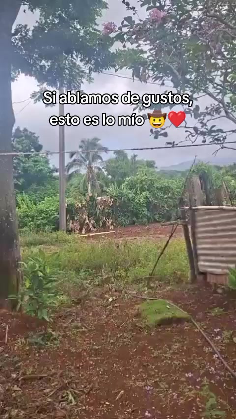 @Flor 🌸