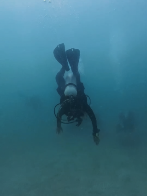 @dumdee_diving
