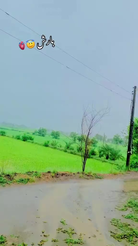 @🦁ShAraZ RoHiLLa 👑