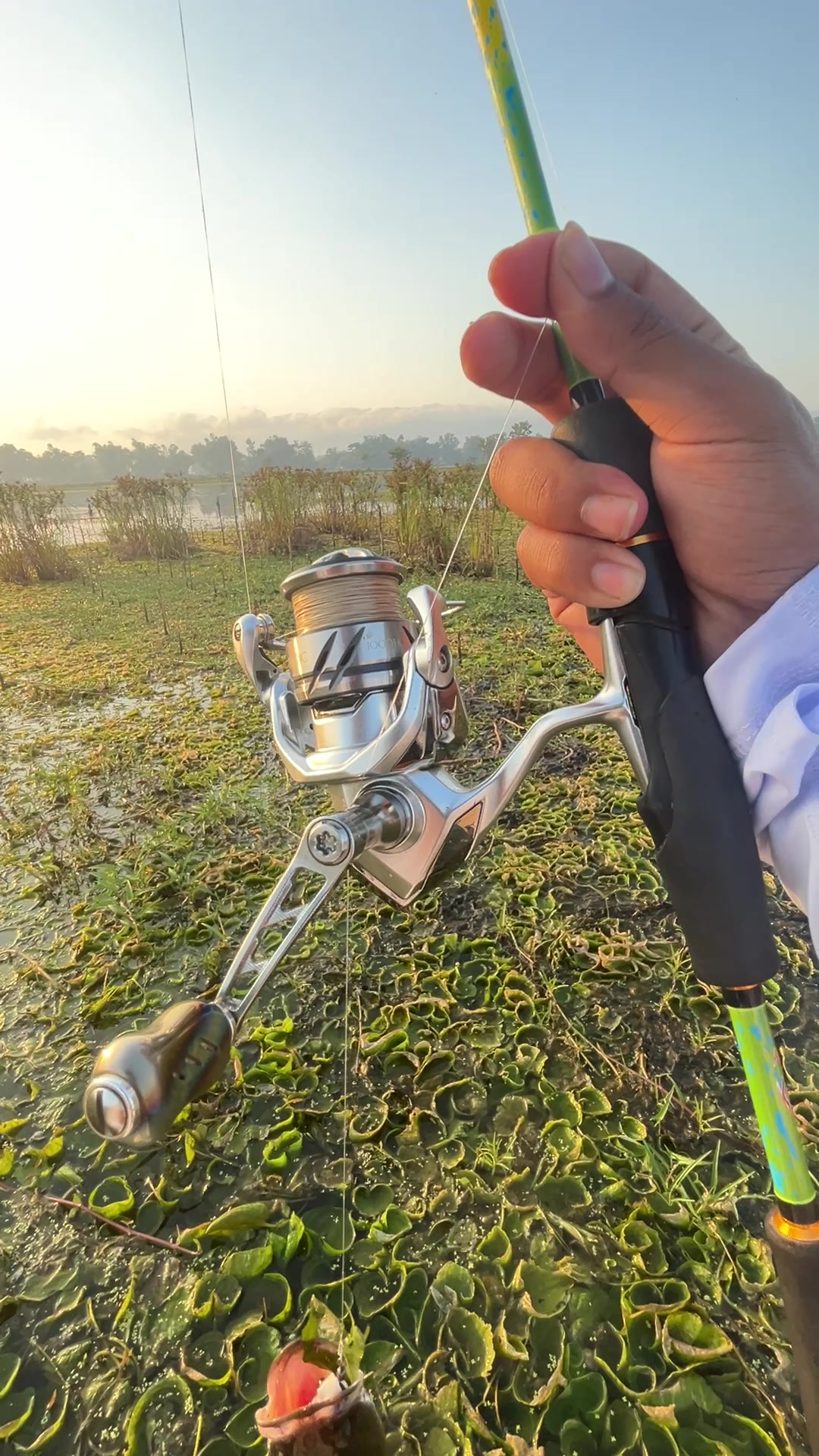 @Mancing mania🐋