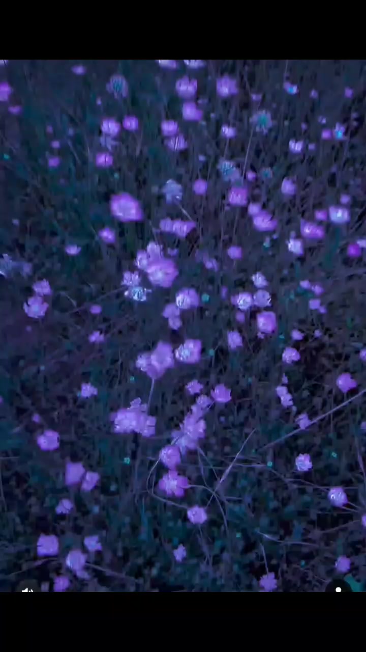 @𝑟𝑜𝑑𝑦 🩵⛄️🌊🍥