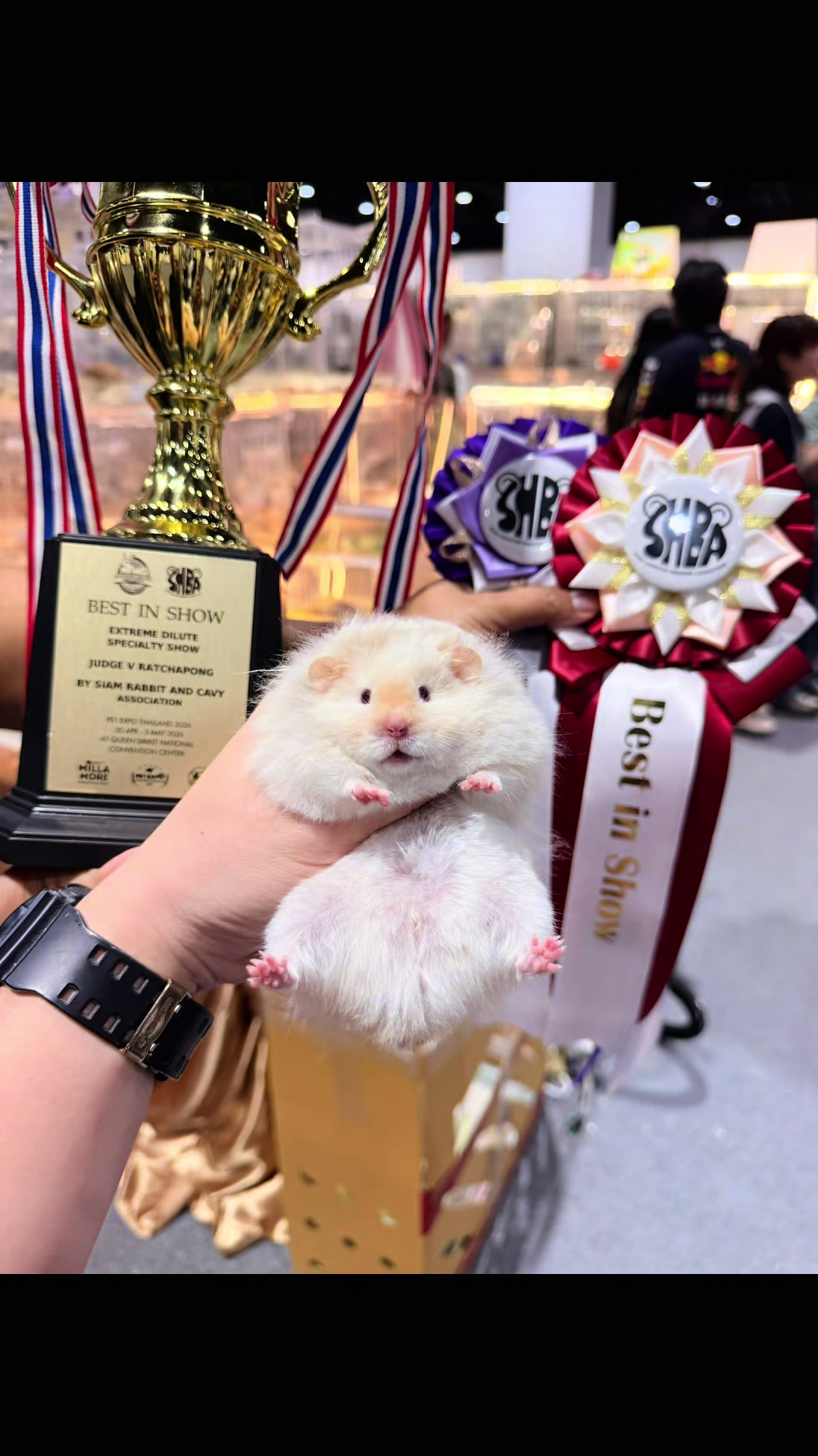 @Itsara Hamster