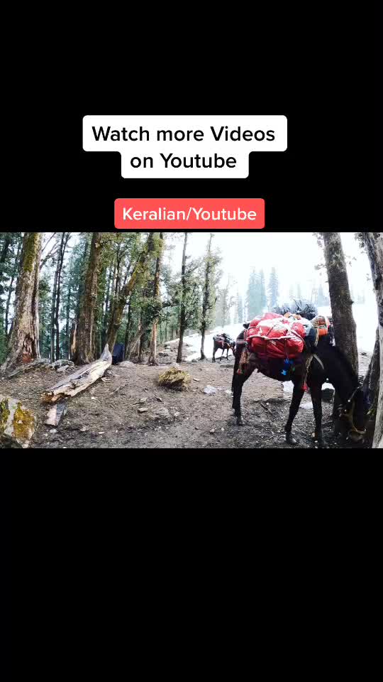 @Keralian കേരളിയൻ