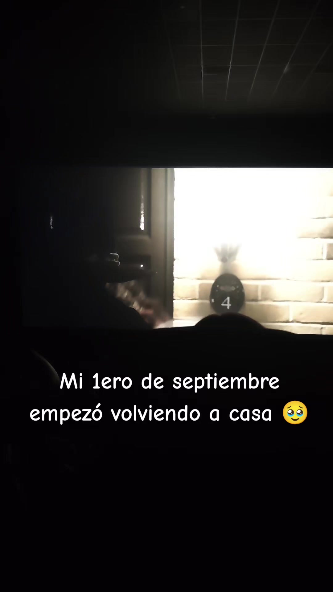 @chicabi.potter