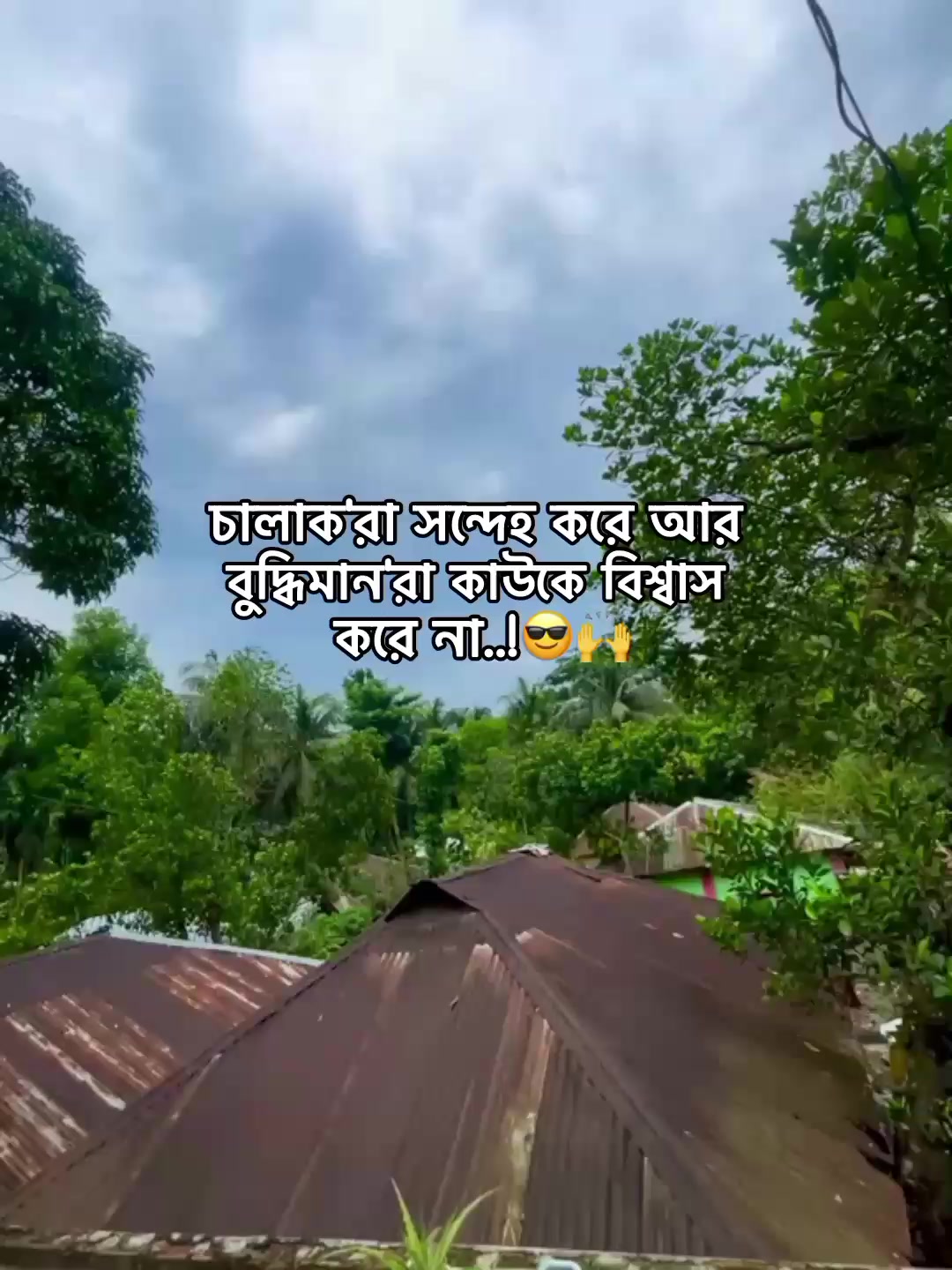 @⁷𝐇𝐚𝐦𝐢𝐝𝐚◡🧃