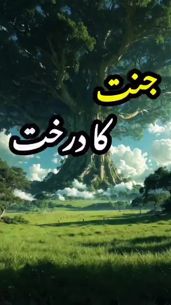 @Ali