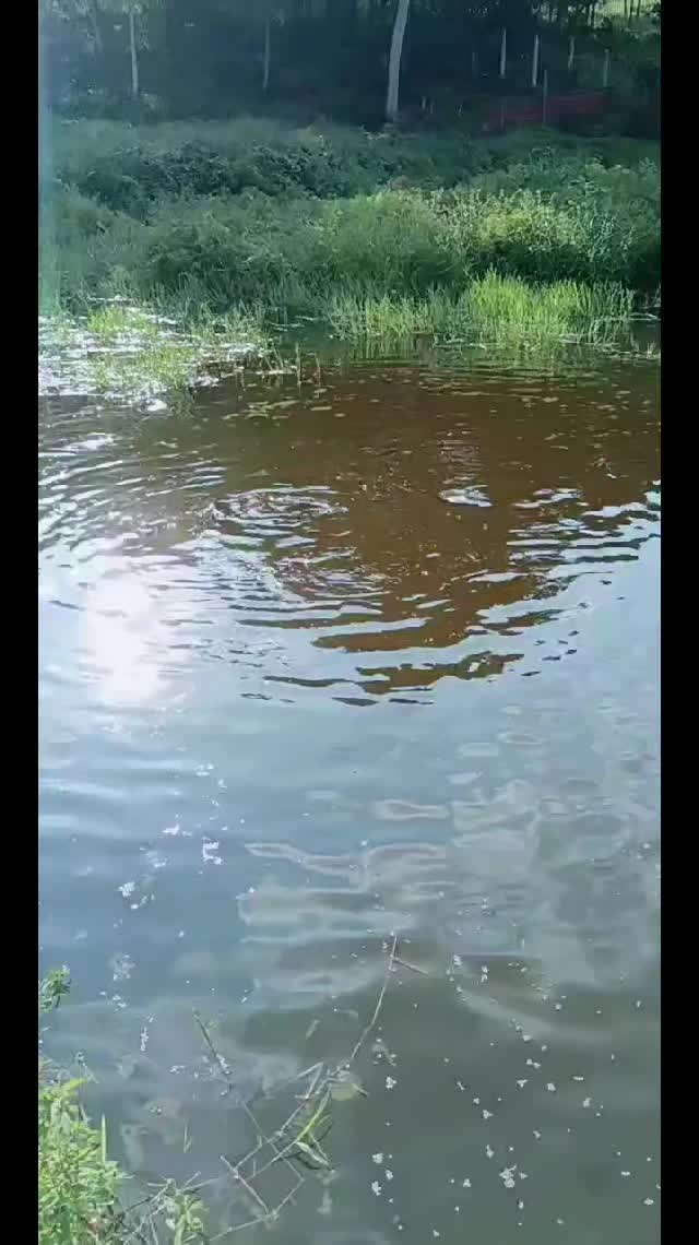 @sufiadam