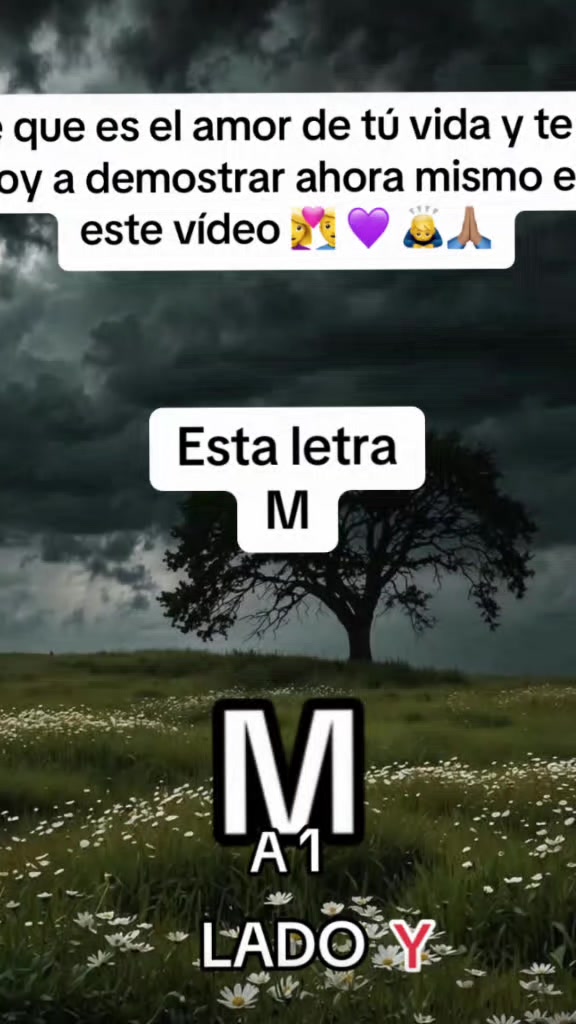 @Dr. Marcel