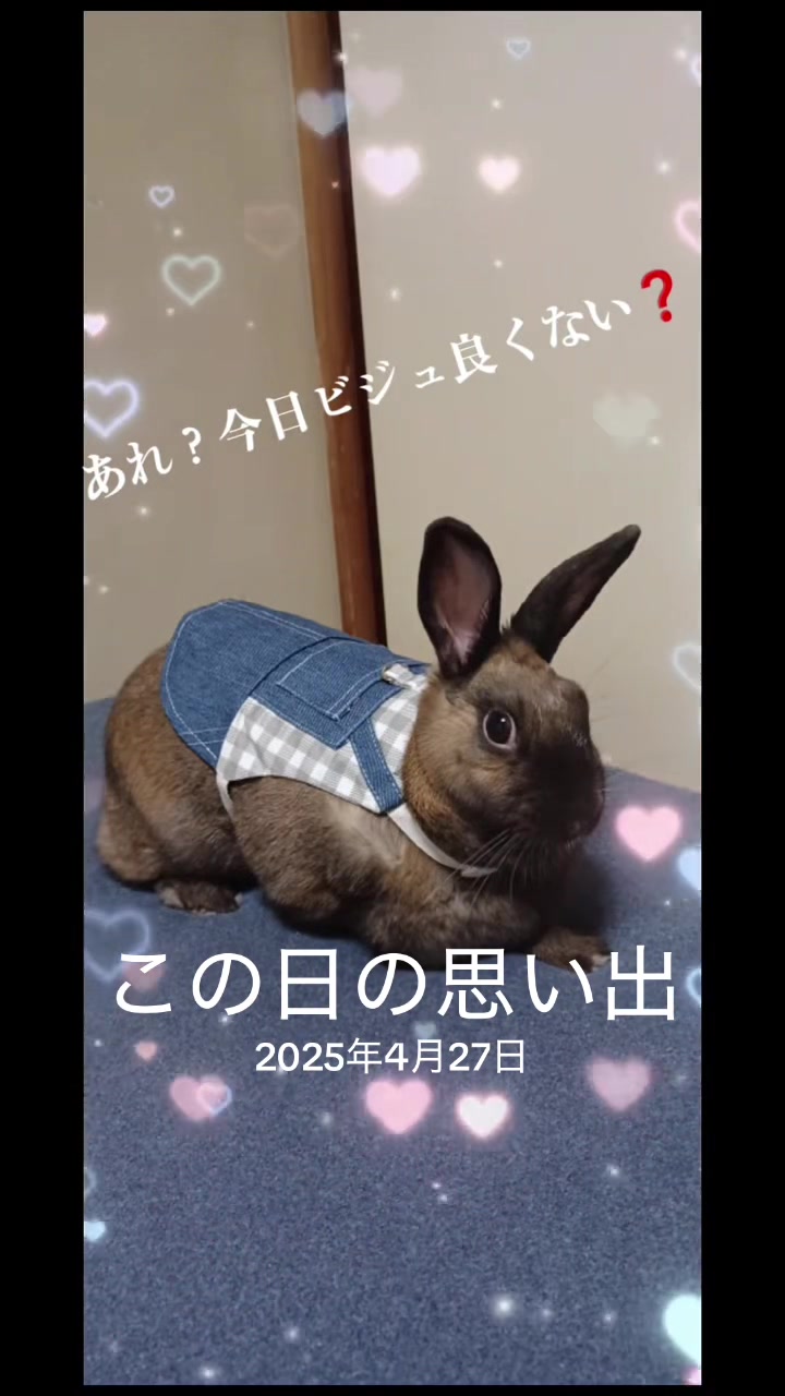 @🐖🧅ちぃ（マロン）🌰🐰🍍