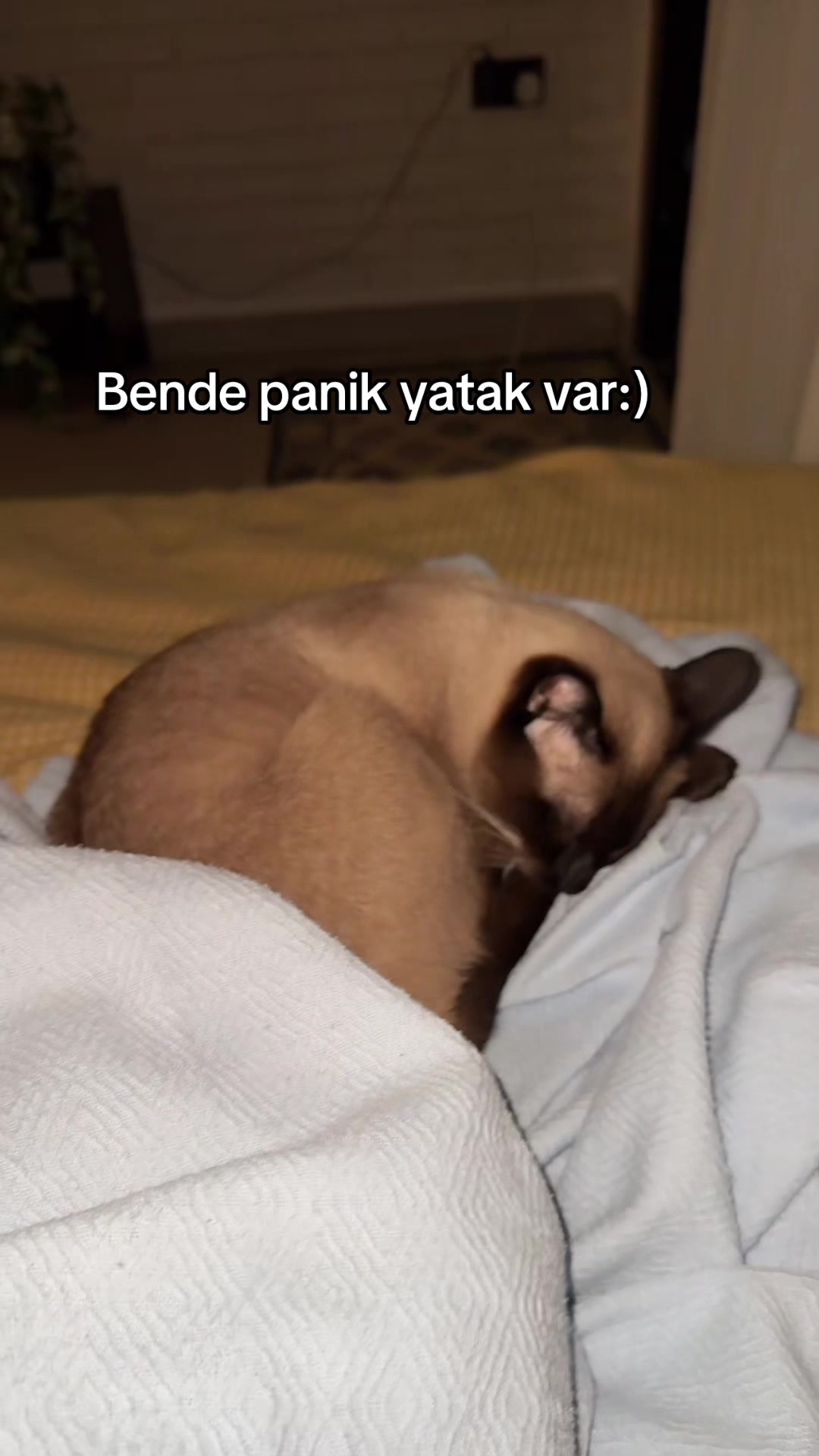 @Bengisu