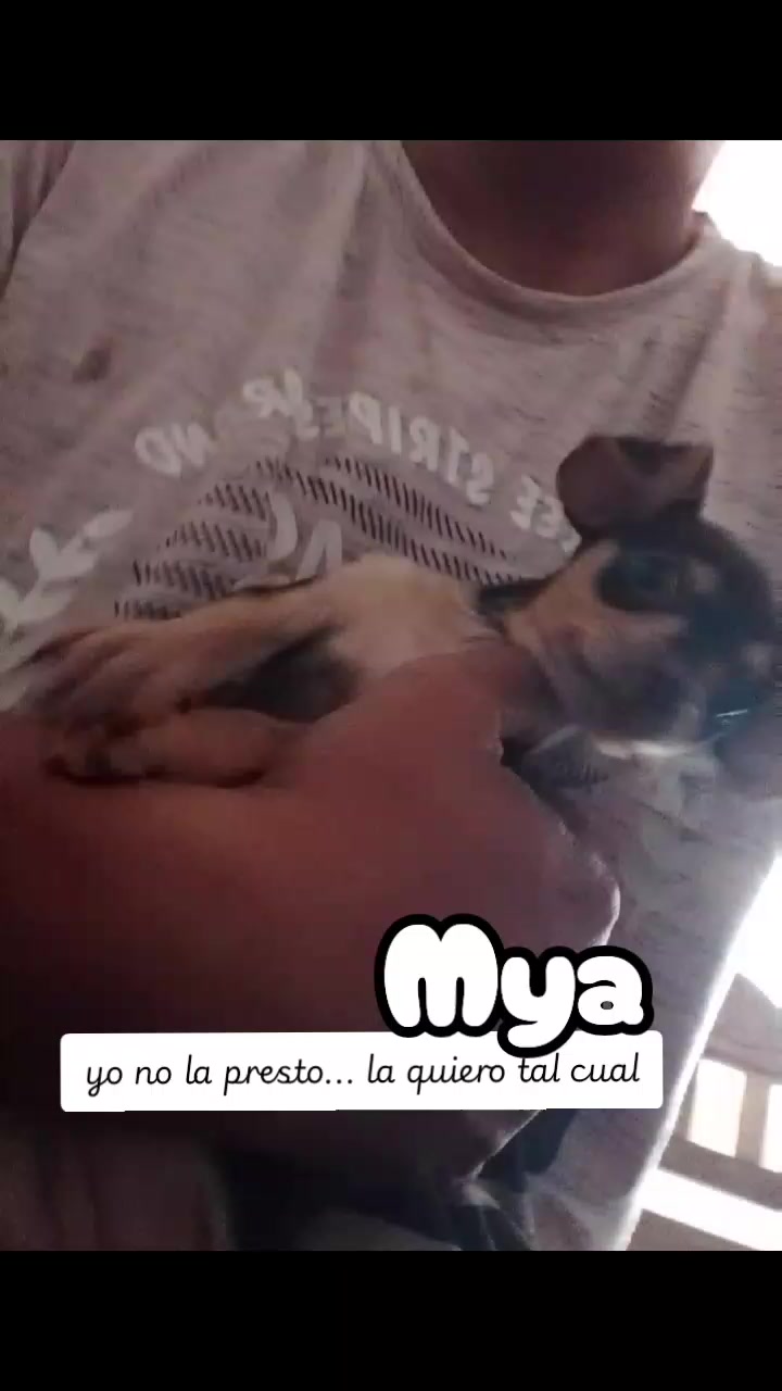 @🐶 Benji_Mya 🐾🐕