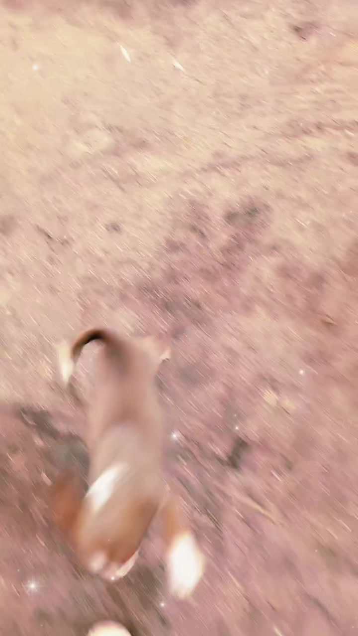 @P🙂😊
