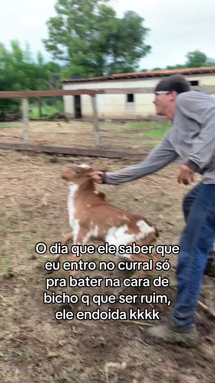 @Berdinazzi 🇧🇷